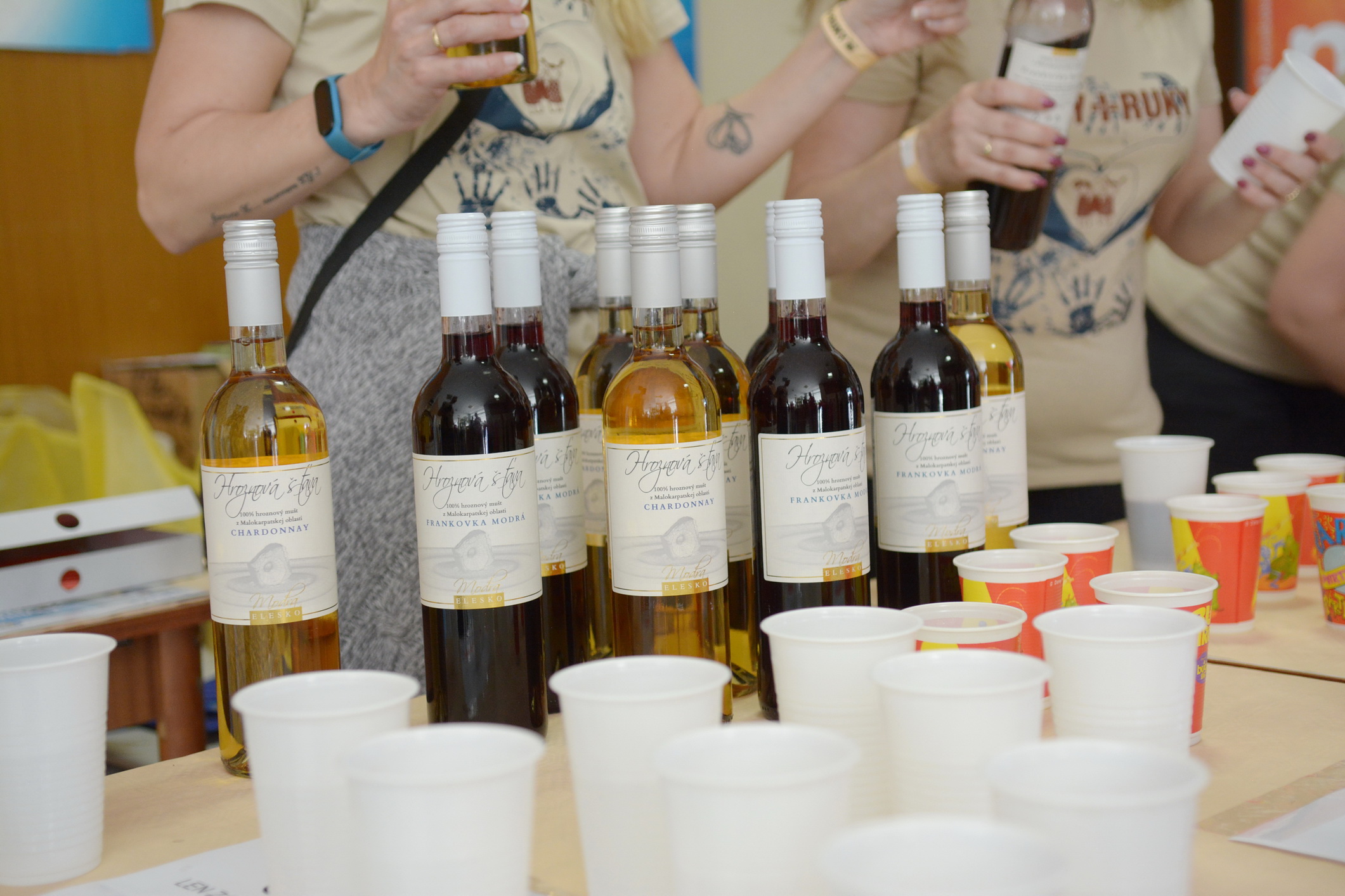 366 Ruky Ruky NRC 2025 Marek Vaco